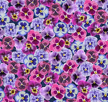 Ковролин Flotex Vision Image 000410 Pink Floral фото 1 | FLOORDEALER